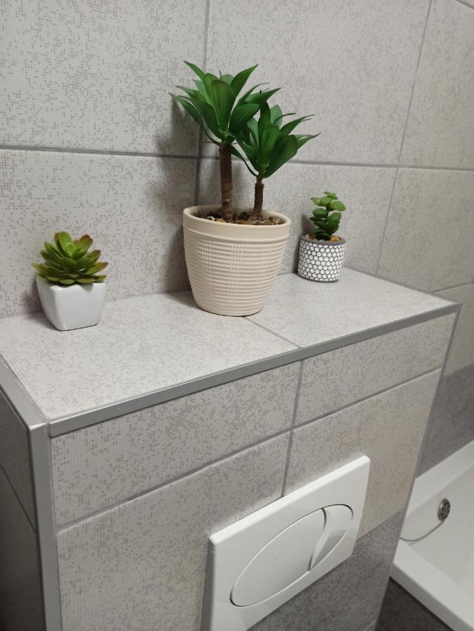 Bk Apartment, Istocno Sarajevo, Lukavica Rum bild